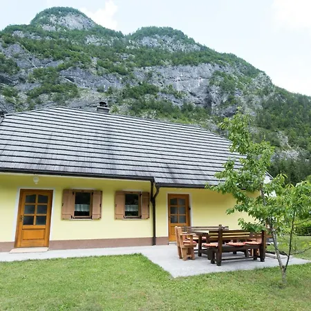 Yellow House